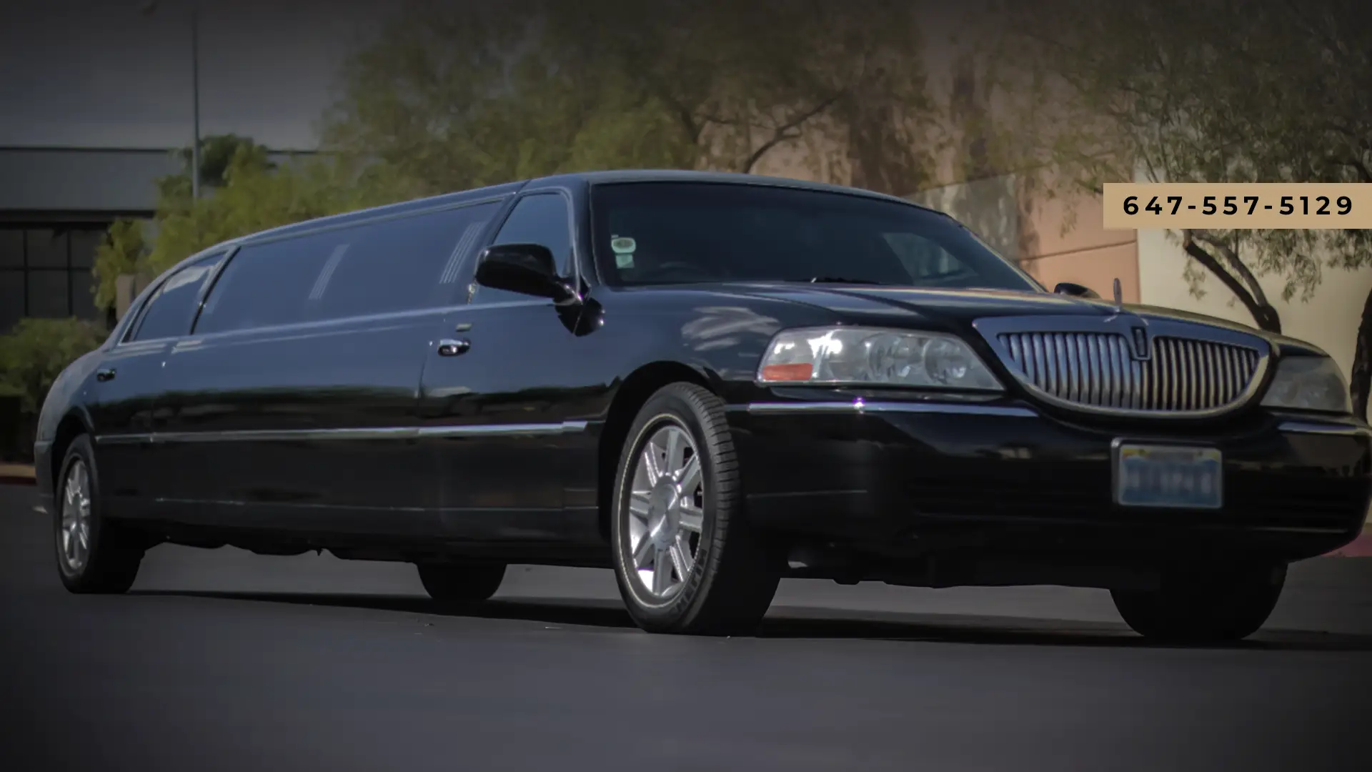 premium limo services